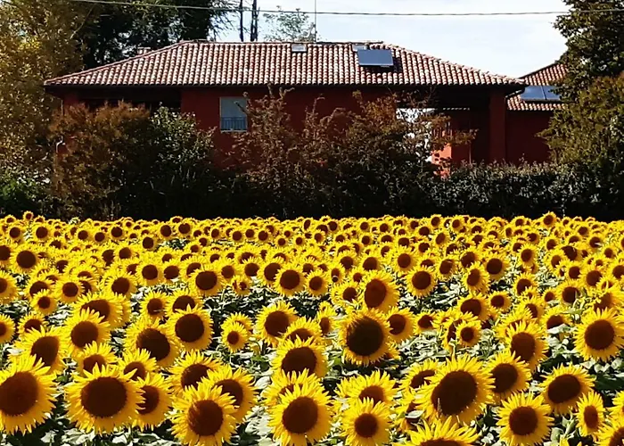 B&B Santa Maria Di Lorgana 3*