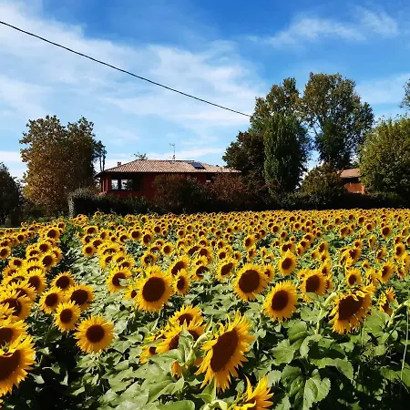 Bed & Breakfast Santa Maria Di Lorgana 3*