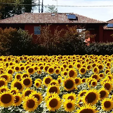 Bed & Breakfast Santa Maria Di Lorgana 3*