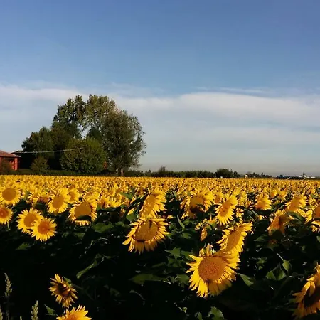 Santa Maria Di Lorgana Minerbio