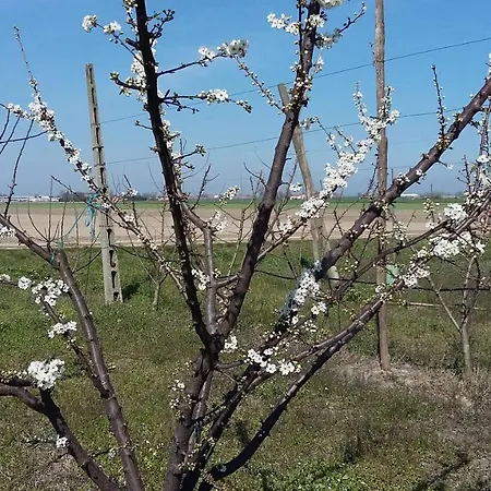 Bed & Breakfast Santa Maria Di Lorgana