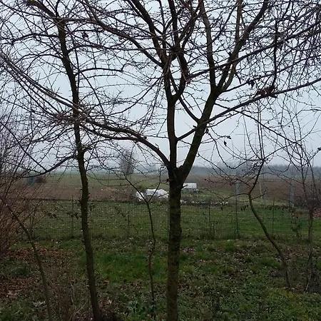 Santa Maria Di Lorgana 住宿加早餐酒店 3*