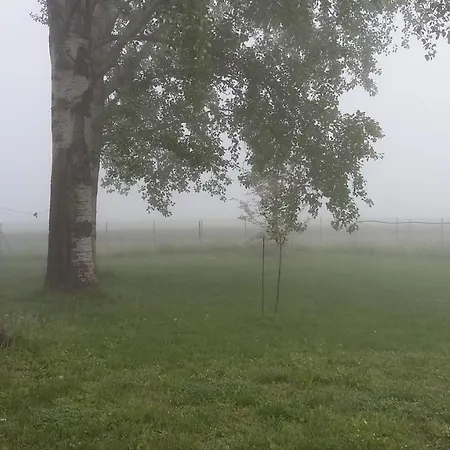 住宿加早餐酒店 Santa Maria Di Lorgana