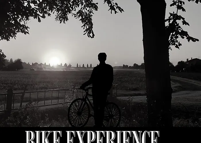 Santa Maria Di Lorgana Bed & Breakfast Minerbio