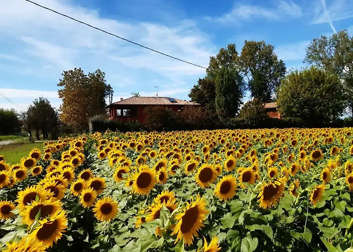 Oda ve Kahvaltı Santa Maria Di Lorgana 3*