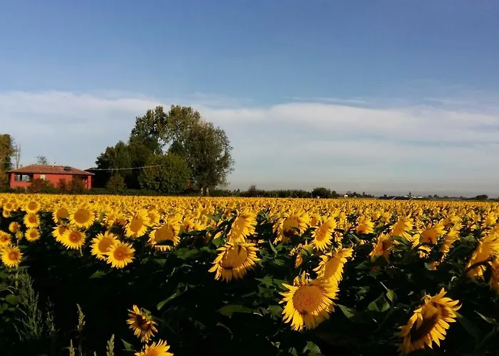Santa Maria Di Lorgana Minerbio