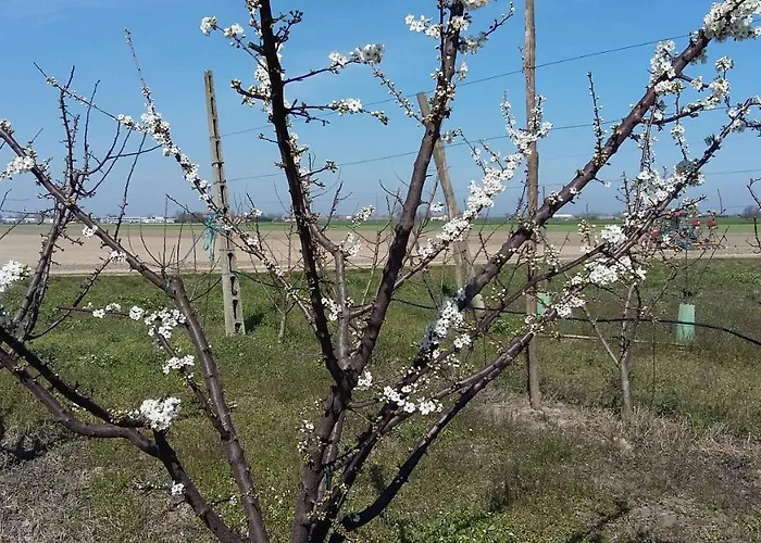 Oda ve Kahvaltı Santa Maria Di Lorgana