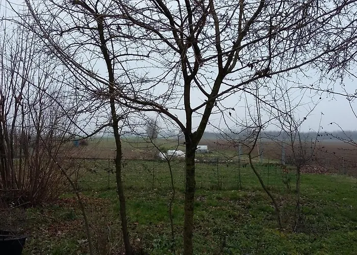 Santa Maria Di Lorgana Oda ve Kahvaltı 3*