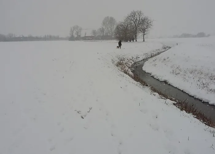 Santa Maria Di Lorgana Alojamento de Acomodação e Pequeno-almoço